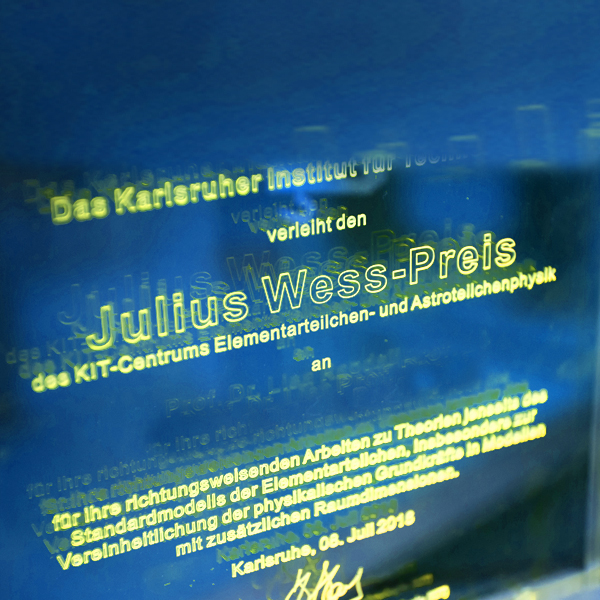 Julius Wess-Preis